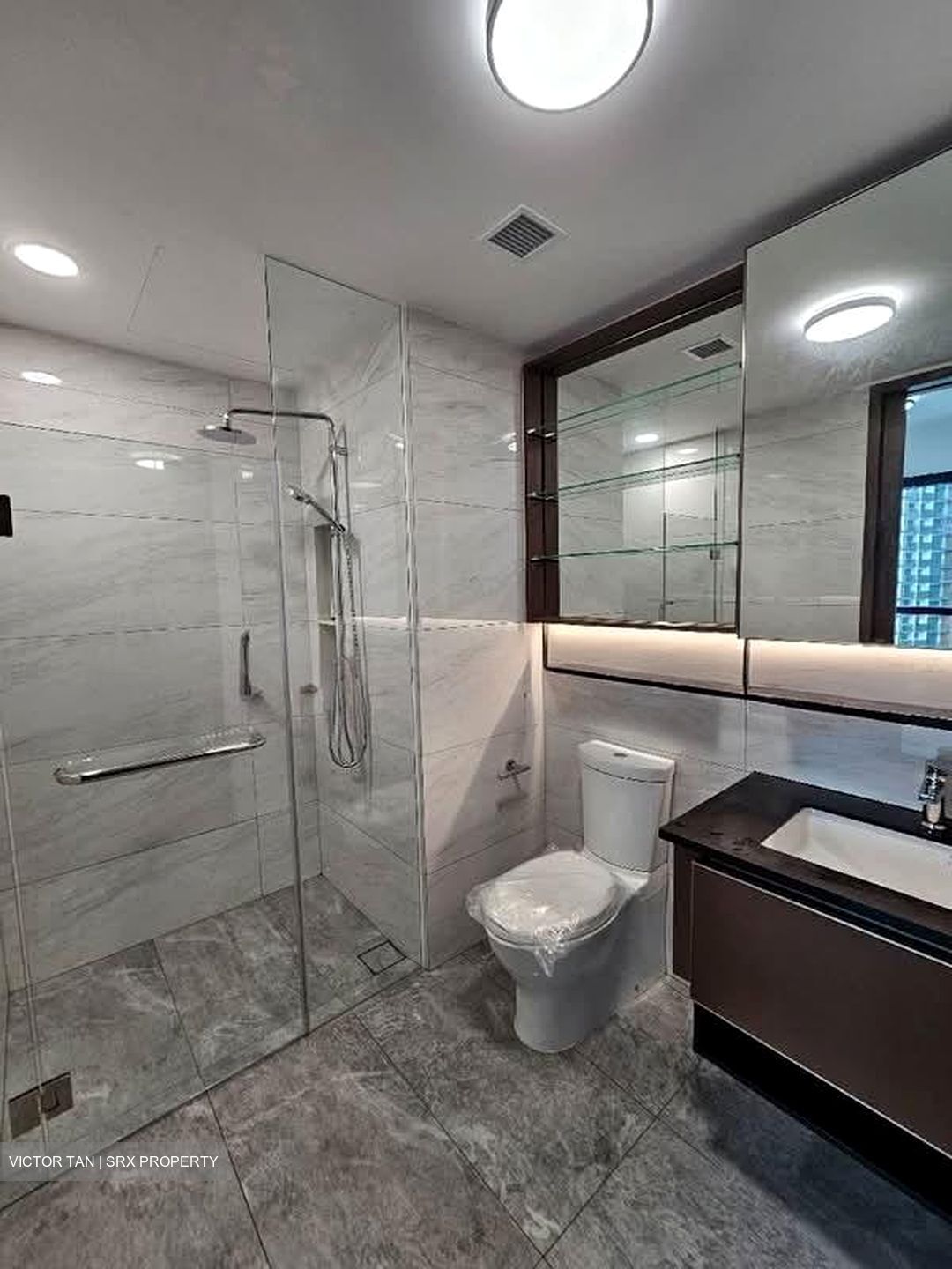 Normanton Park (D5), Apartment #560964731